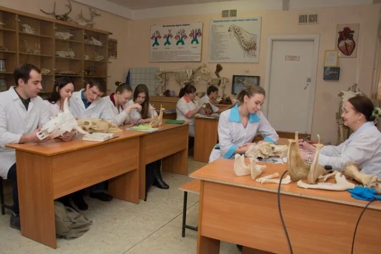 Новосибирский государственный аграрный университет. Университет нгау новосибирск. Новосибирский государственный аграрный университет факультеты. Нгау новосибирский государственный аграрный. Новосибирский государственный аграрный университет факультеты.