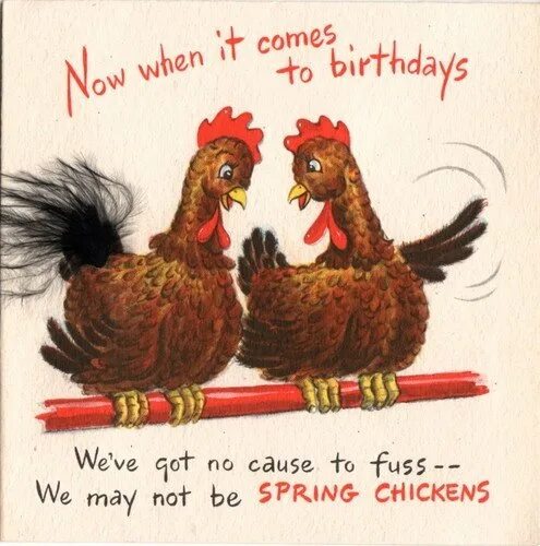 День рождения с курами. С днем рождения курица. Поздравление с днём рождения с курицей. Открытка с курицей на день рождения. Открытки с днём рождения с курочками.