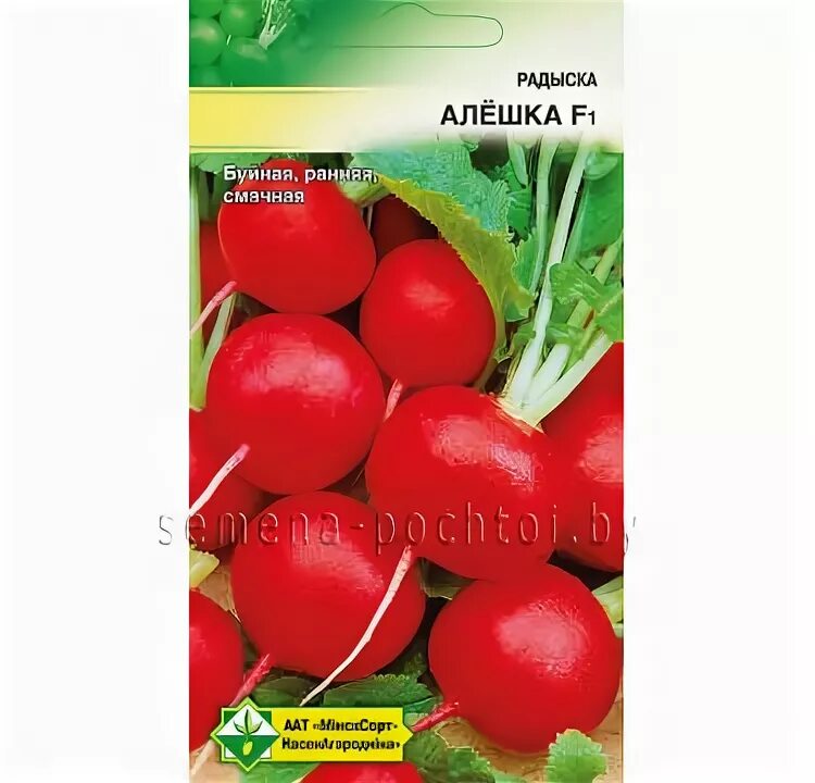 томат алешка f1 отзывы. томат де барао черный 20шт ц/п аэлита. редис алешка f1. сорт томата алешка. томат алешка аэлита.