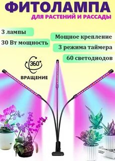 Спектр лампы для рассады