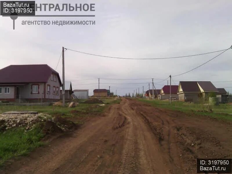 Рыбная слобода ферма. Рыбная слобода фотографии. дикая ферма татарстан рыбная слобода. поле чудес рыбная слобода.