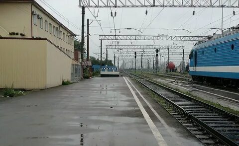 Жд сальск