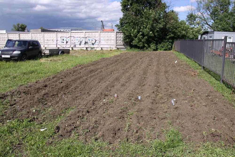 Вскопать сотку. Вспашка участка. Вспашка газона. Вспаханный участок земли. Вспашка земли под газон.