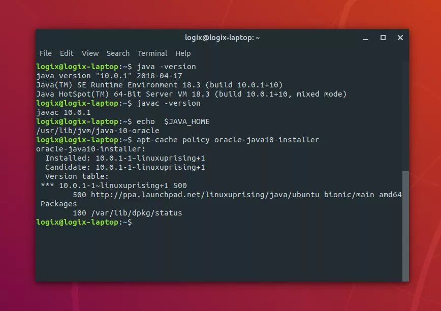 Java на линукс. Java 10. java линукс. java laptop. установка джава.
