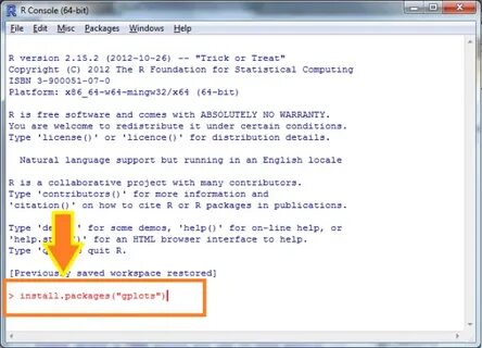 R installer