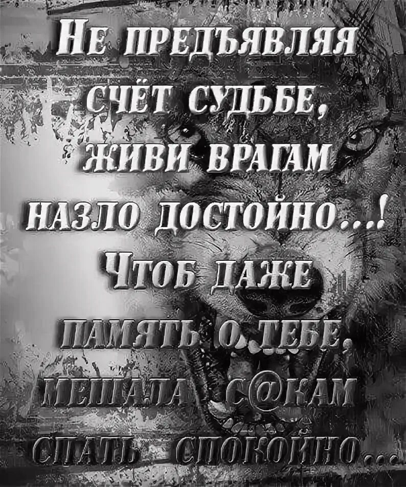 Жить назло всему. Живу назло врагам достойно. Врагам назло цитаты. Живи всем врагам назло. Открытка живу назло врагам.