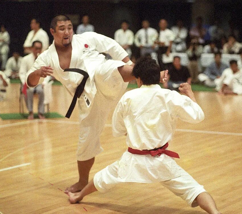 Japanese karate