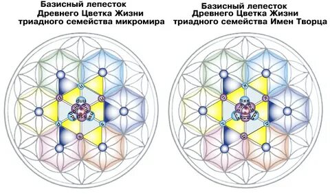 Матрица бога