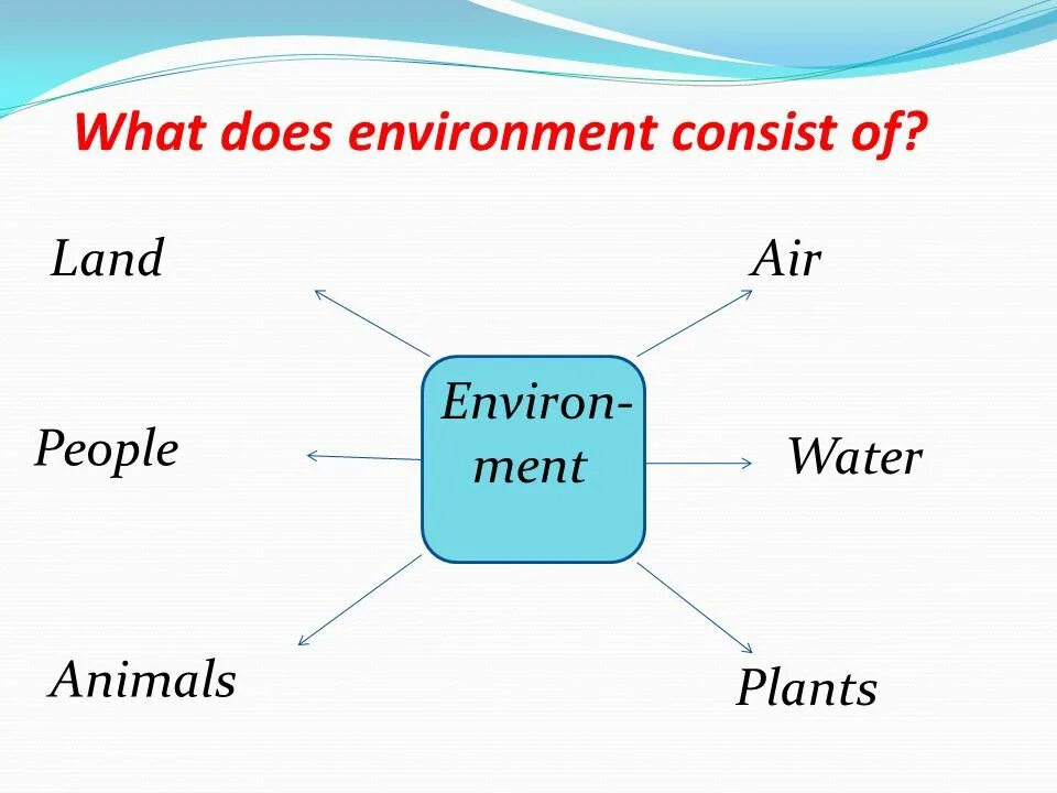 What does. People consist of Water. What does the Arm consist of. Presentation about environment.