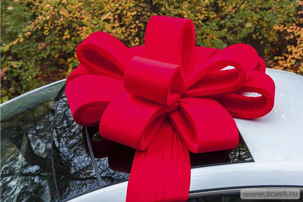 Большой бант на дверь. Венок из бантиков на новый год. Украшение двери бантом. Украшение стеклянных дверей к новому году. Большой бант для подарка.