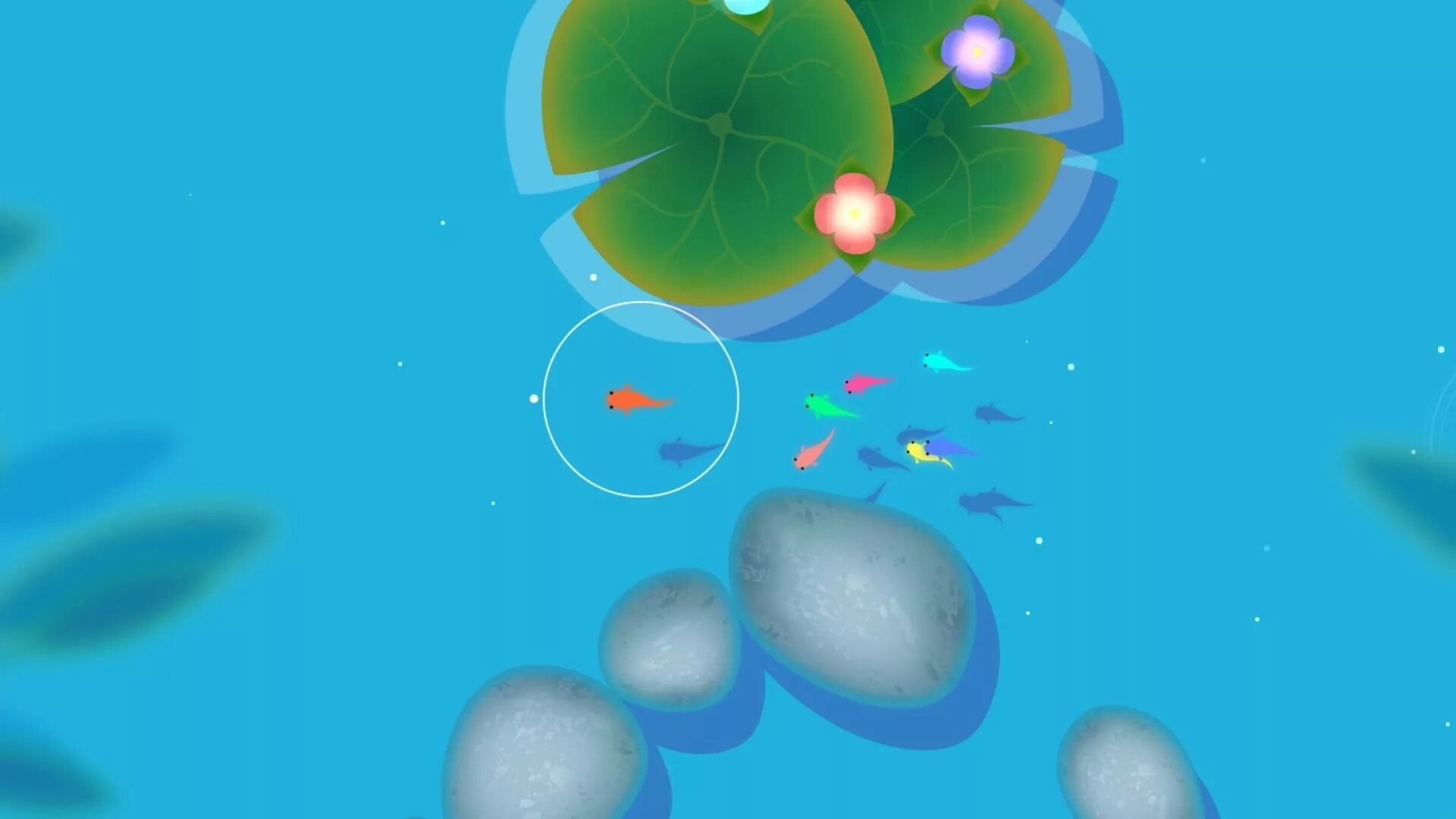 Зен кои рыбки игра. Рыбки кои игра. Рыбки кои игра. Игра zen koi рыбки. Koi игра.