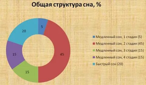 Сколько времени длятся фазы сна