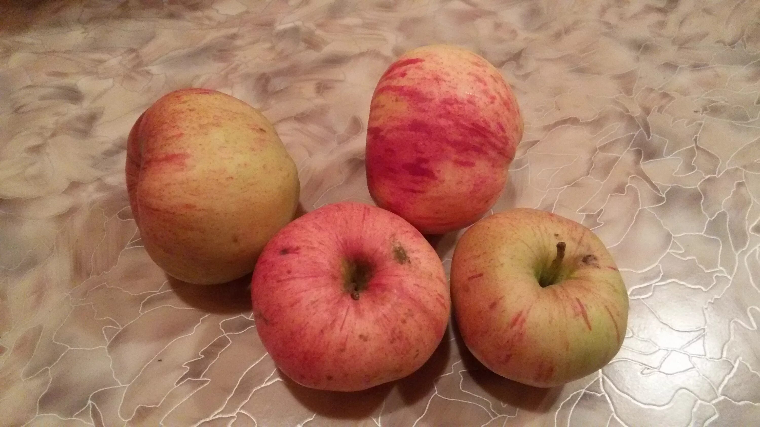 120 Heritage Apple Varieties at 'Gundungurra', Bundanoon Apple varieties, Apple,