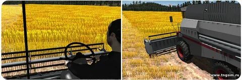Сколько за день убирает комбайн