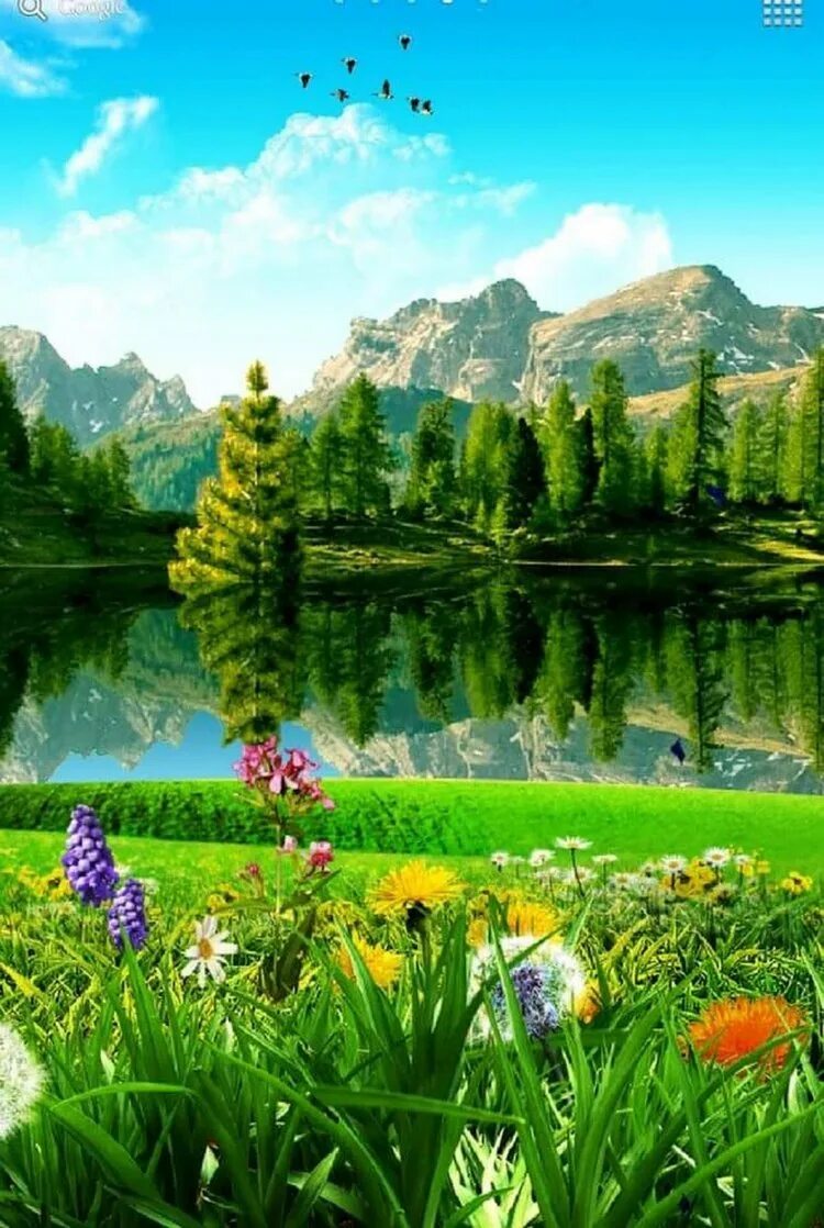 Темы природа на андроид. Красивая природа. летний пейзаж. красивые пейзажи природы. красивая природа на заставку.