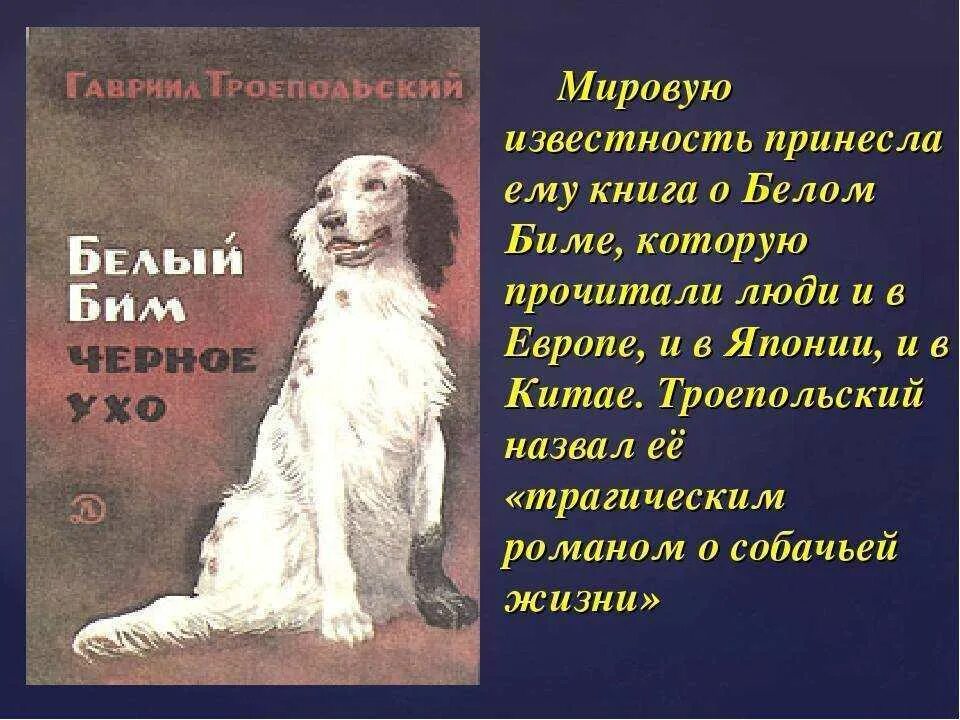Автор рассказа бим черное ухо. Троепольский белый бим черное. Белый бим чёрное ухо книга автор. Автор рассказа бим черное ухо. Г н троепольский белый бим черное ухо.