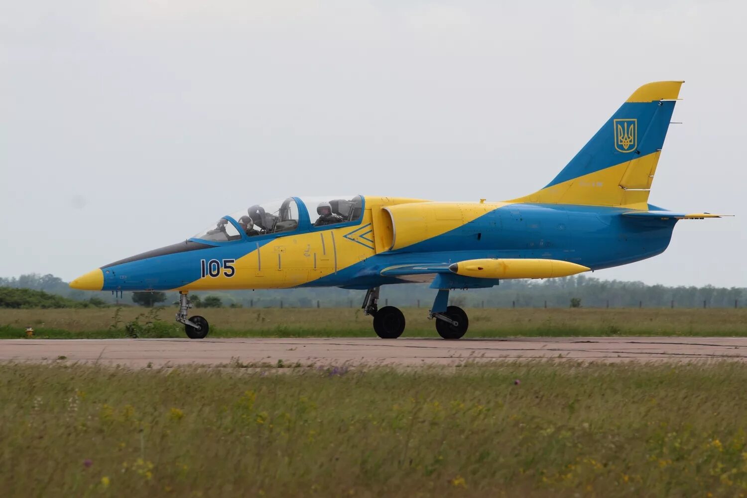 Украинский самолет. Л-39м1. Л-39 Ukraine. Л-39м1 самолет. Л39 ВВС ДНР.