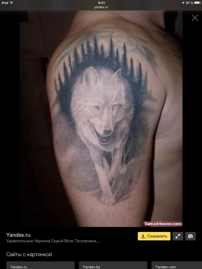 тату белая волчица. тату волк со шрамом. морда волка. тату волк и волчица эскизы. тату морда волка.