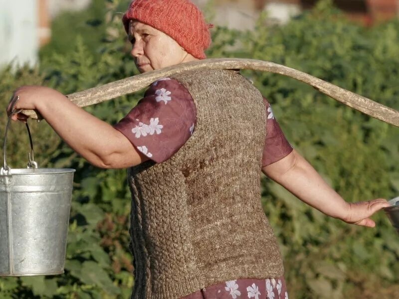 деревенские женщины. женщины животноводы. агроном. деревенские женщины. время работы женщины в сельской местности.