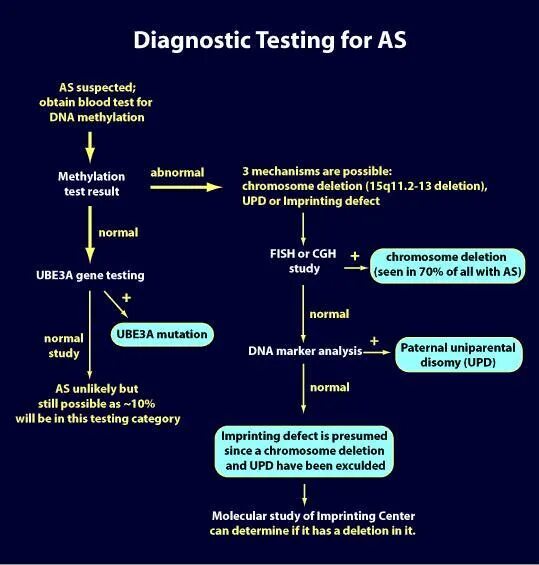 Diagnostic test is. Hppd синдром. diagnostic test. uniparental disomy.