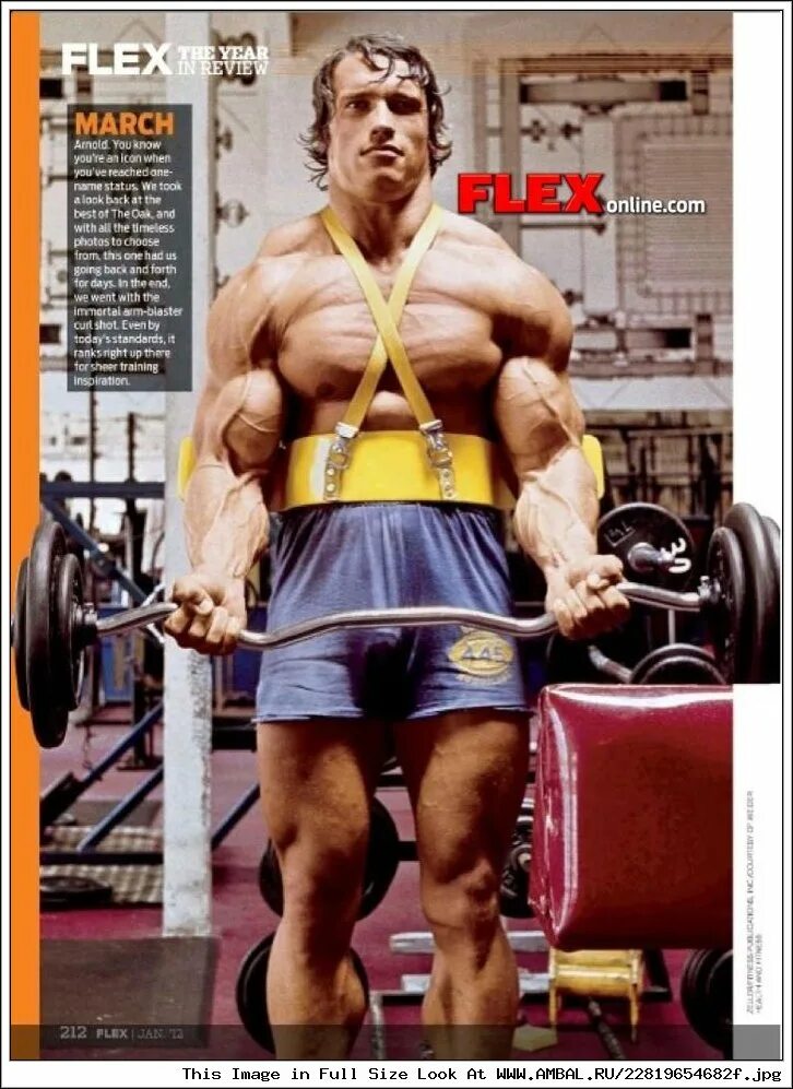 Арнольд шварценеггер тренировки. Бицепс арнольда шварценеггера. Арнольд шварценеггер бицепс. Шварценеггер поднимает на бицепс. Арнольд шварценеггер в молодости культурист.