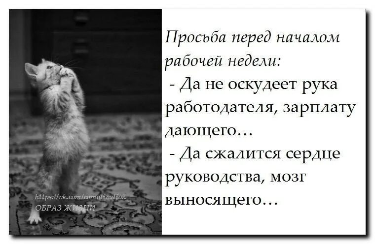Не оскудеет рука дающего. Да не оскудеет рука дающего продолжение. да не оскудеет рука дающего да не отсохнет рука берущего. да не оскудеет рука дающего библия.