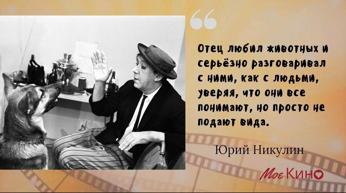 Высказывание ю