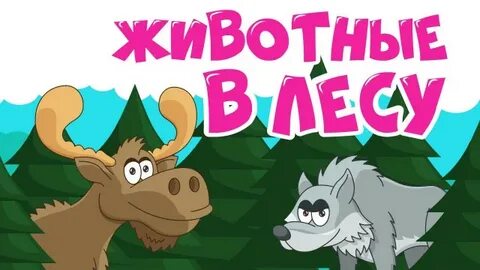 Учим животных леса