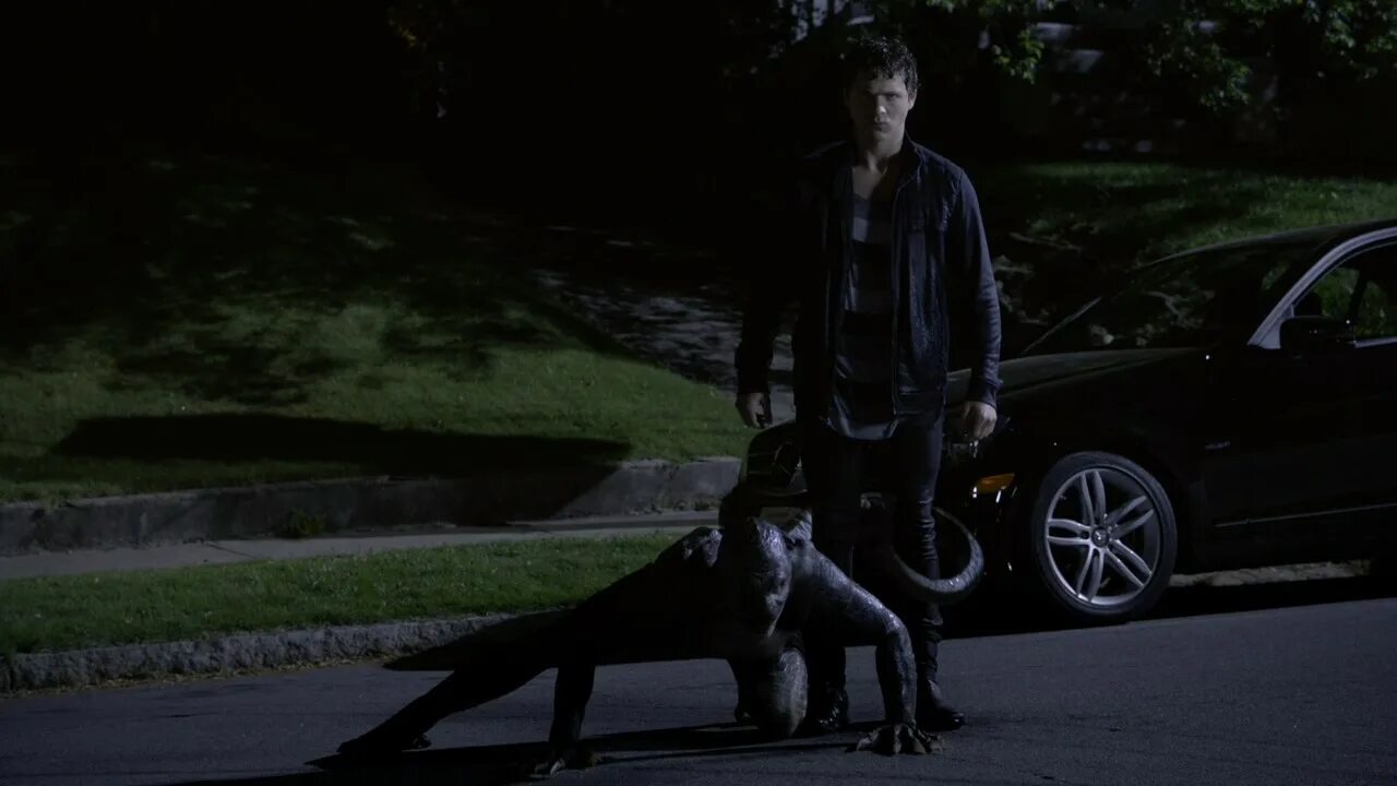 Трейси волчонок. Волчонок химера джексон. Химера волчонок. Химера волчонок. Келси чоу трейси.