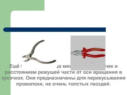 Колющие органы