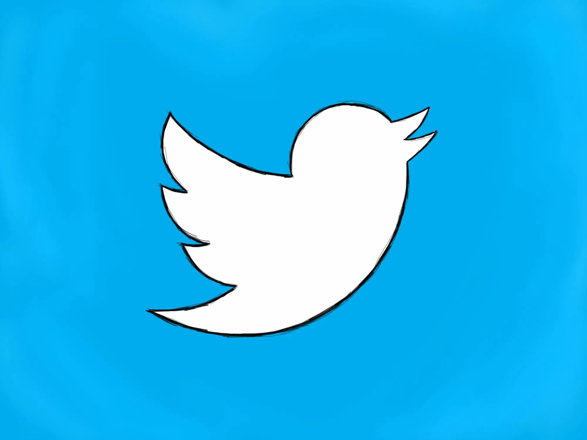 Twitter f. Птичка твиттер. твиттер. птица твиттера. twitter logo sketch.