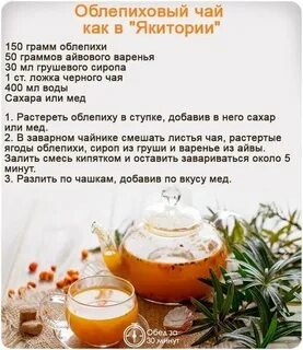 Как приготовить чай из облепихи дома