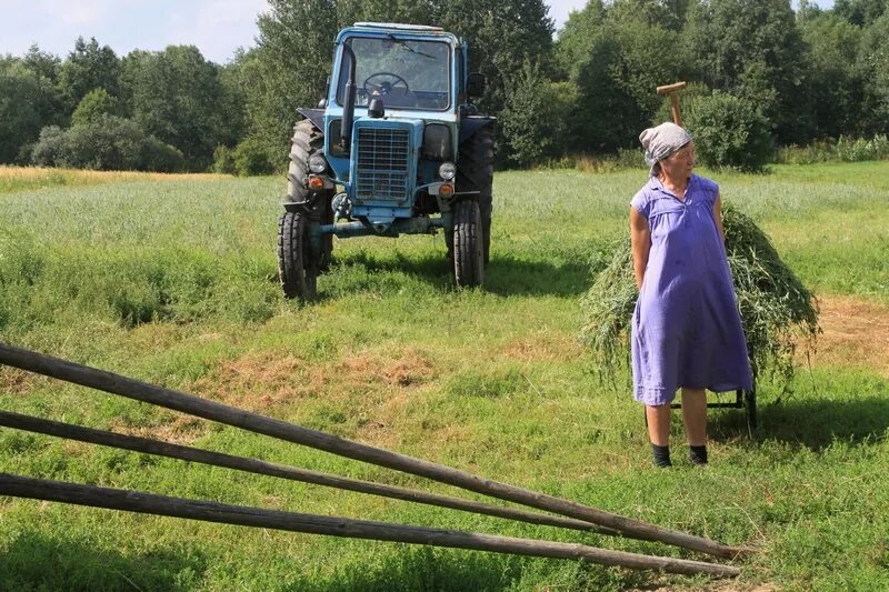 Видео деревенские женщина. Женщина в селе. Женщины в колхозе. Женщины в сельской местности. Женщины в сельском хозяйстве.