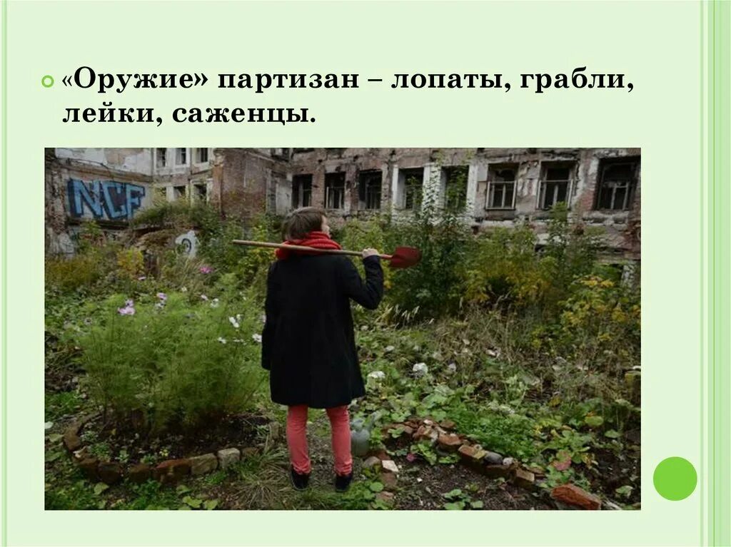 Партизанское садоводство. Международный день партизанского садоводства 1 мая. Международный день партизанского садоводства. Международный день партизанского садоводства. Партизанское садоводство.