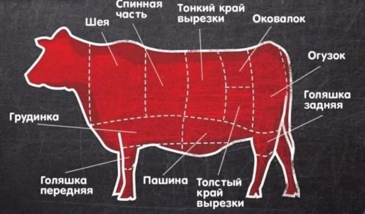 Части говядины. Части говядины названия. Части туши говядины. Лучшая часть мяса говядины