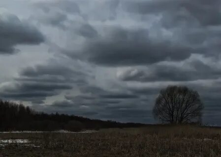 Sadsvit небо на русском