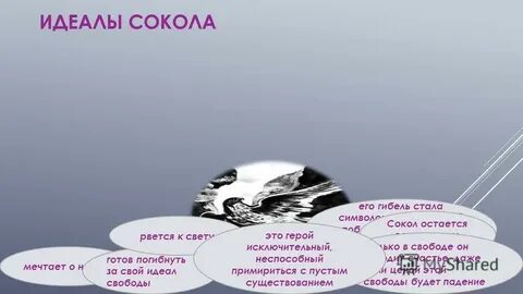 Идеалы свободы