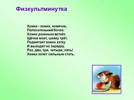 Хомка стих