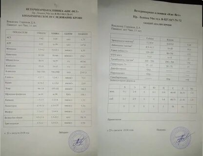 Анализы ижевск
