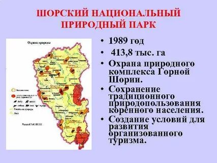 Зона кузбасса
