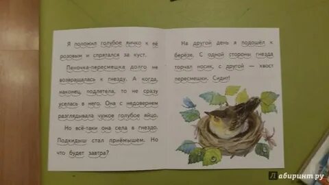 Произведения бианки подкидыш