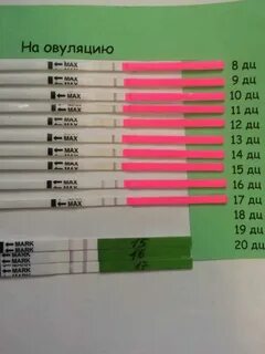 Как узнать тесты овуляции
