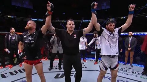 Ufc анкалаев прямой эфир