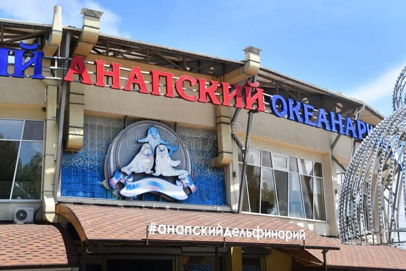 Дельфинарий анапа расписание. Расписание дельфинария в анапе на пионерском проспекте. Расписание анапского дельфинария на пионерском проспекте. Дельфинарий анапа 2022. Расписание анапского дельфинария на пионерском проспекте.