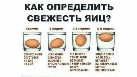 Почему яйцо всплывает наверх