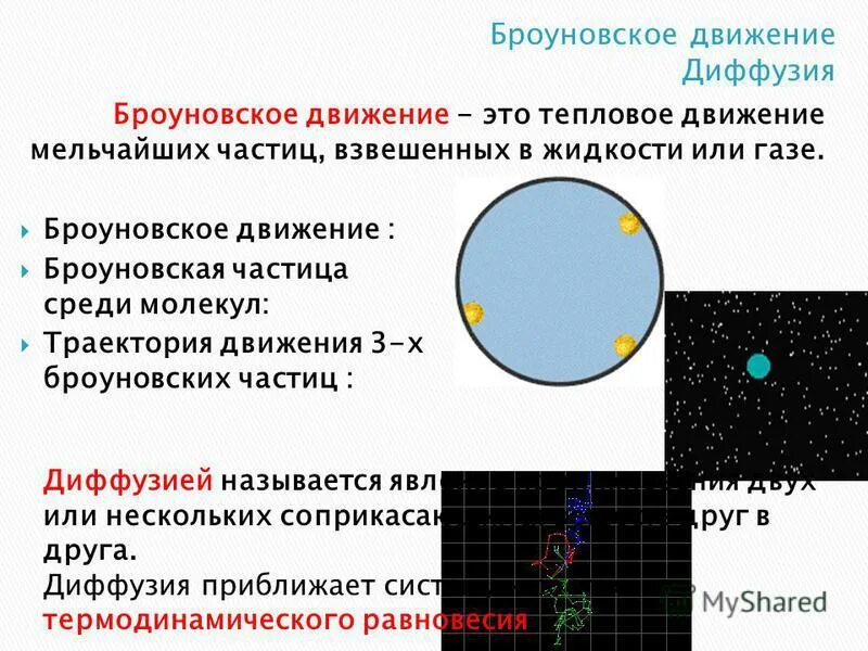 Броуновское движение в воде