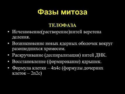 Исчезают ядрышки