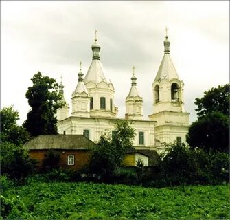 Замостье суджанский