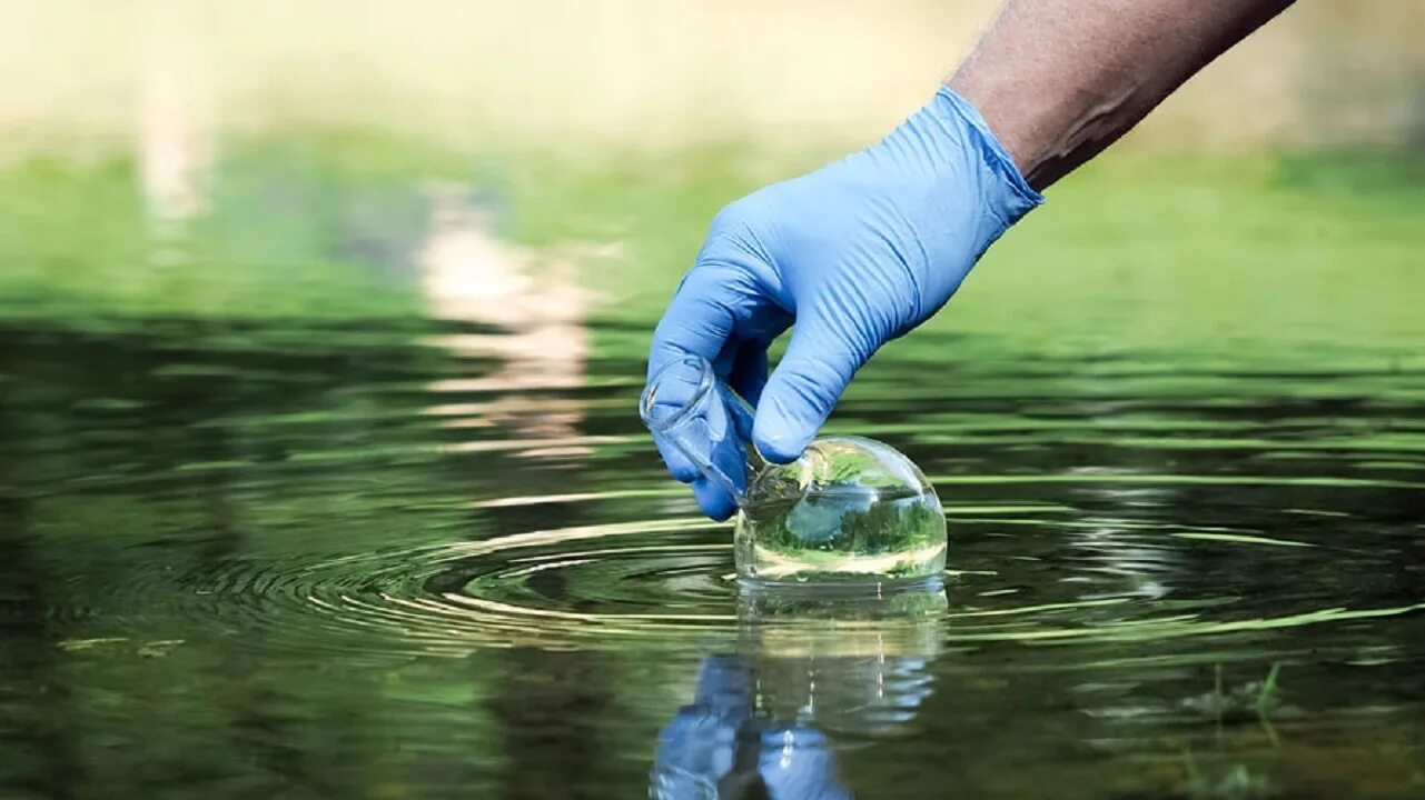 Экология воды. Загрязнение пресных вод. Защита воды. Чистая вода. Сохранение природного потенциала