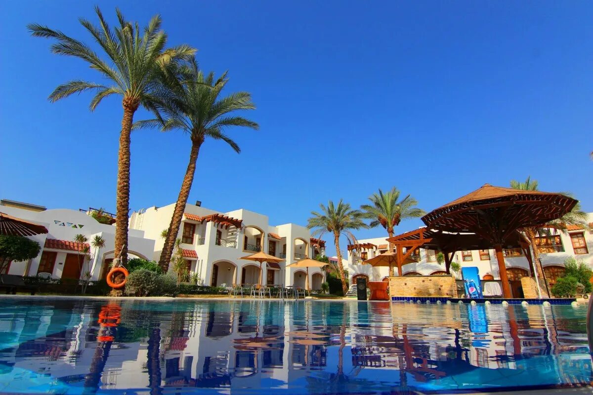 Coral hills 4. Coral Hills 4 Шарм-Эль-Шейх. Отель Coral Hills Resort 4*. Шарм-Эль-Шейх / Sharm el Sheikh Coral Hills Resort 4*. Coral Hills Sharm el Sheikh 3.